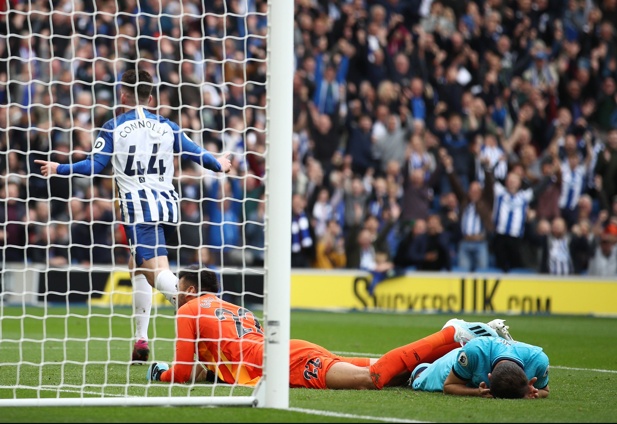 了极大的关 了极大的关